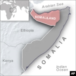 Somalia Says Ethiopia Tried to Block Its President From AU Summit