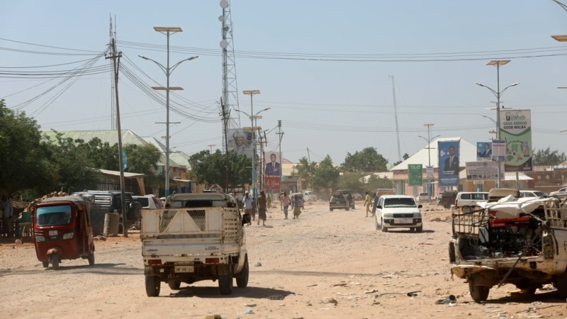 Somali Government Says at Least 80 al-Shabab Militants Killed in Attacks