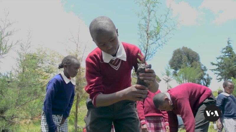 Schools in Kenya Adopt Environment Education to Promote Conservation