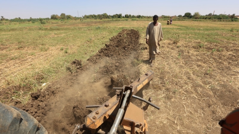 Sudanese farmers strive for food sufficiency as conflict rages