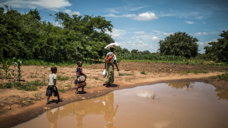 UN officials in Zambia to assess worst drought in 20 years