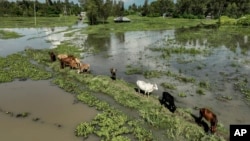 Kenya issues flood warning as rains cause death, displacement