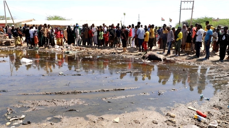  5 killed in donkey cart explosion in northeast Kenya