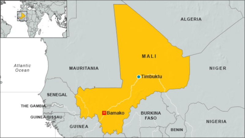 Malian forces kill Islamic State commander