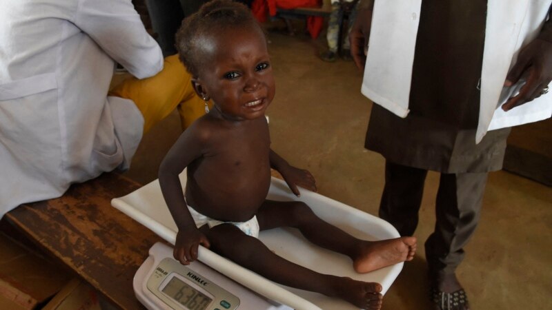 Malnutrition surging in Nigeria’s Bauchi state, aid group says