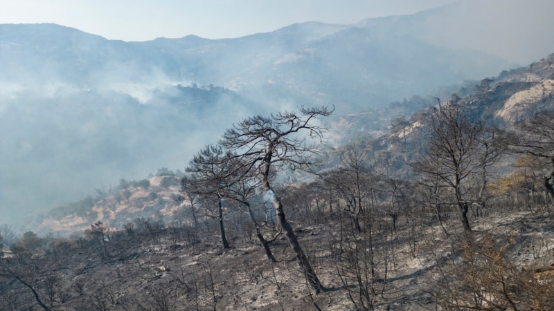 Turkish firefighters bring wildfires in west and north under control