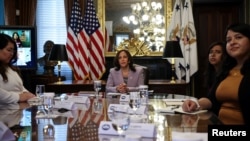 Harris was never 'border czar,' experts say, despite Republican claims