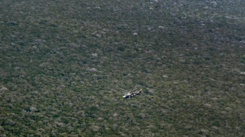 Al-Shabab ‘bans’ tree-cutting — but not to save the environment