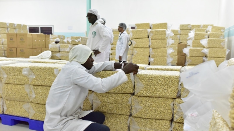 Experts: Different policies needed if African food processing industry to grow