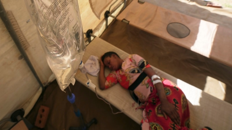 WHO: Deaths from cholera jump 71% worldwide