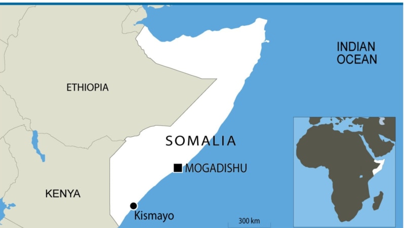 Somalia 'open' to supporting Ethiopia rebels