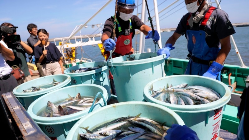 China says it will resume importing Japanese seafood