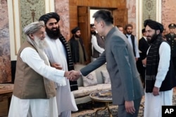 Taliban formally seek invitation to Russia’s BRICS summit