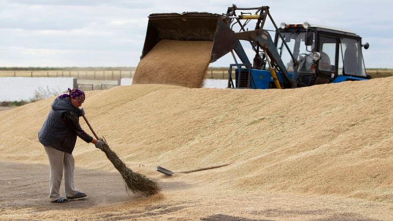 Kazakhstan seeks clarity from Russia over grain transit halt